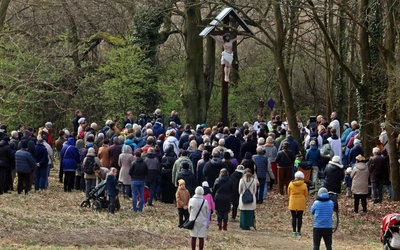 Krzyż nad Odrą odnowiony i poświęcony. Cała akcja zjednoczyła ludzi