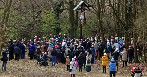 Krzyż nad Odrą odnowiony i poświęcony. Cała akcja zjednoczyła ludzi