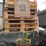 Droga Krzyżowa w schronisku Towarzystwa Pomocy im. św. Brata Alberta