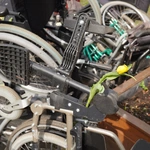 Droga Krzyżowa w schronisku Towarzystwa Pomocy im. św. Brata Alberta