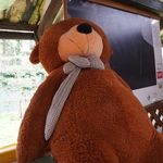 Droga Krzyżowa w schronisku Towarzystwa Pomocy im. św. Brata Alberta