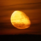 Watykan o misji Artemis II: W Kosmosie uniknijmy błędów z Ziemi