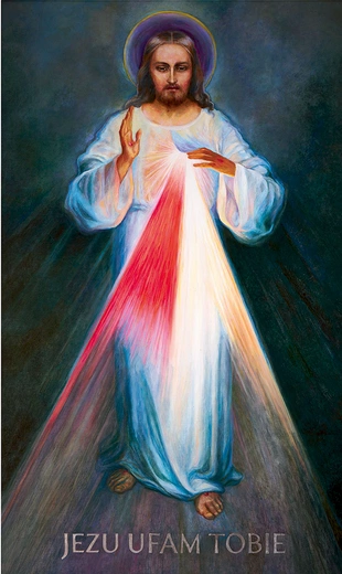 Na potrzeby peregrynacji namalowano  specjalny obraz Jezusa Miłosiernego.