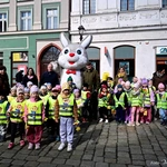 Marsz Nadziei w Świdnicy