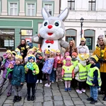 Marsz Nadziei w Świdnicy