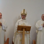 Święcenia diakonatu w Jankowicach