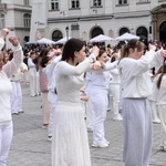 Róża dla Jezusa 2026