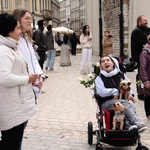 Róża dla Jezusa 2026