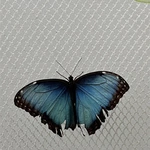 Morze ukrytych znaczeń