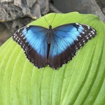 Morze ukrytych znaczeń