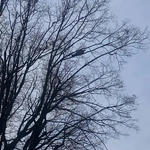 Piękno ukryte w codzienności