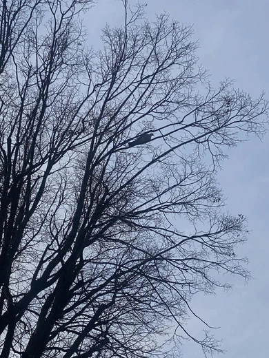 Piękno ukryte w codzienności