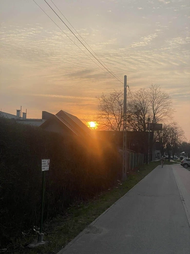 Piękno ukryte w codzienności