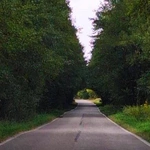 W stronę wieczności