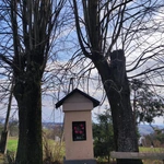 Świętość wpisana w naturę