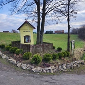 Świętość wpisana w naturę