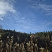 Coś więcej niż setka powiadomień