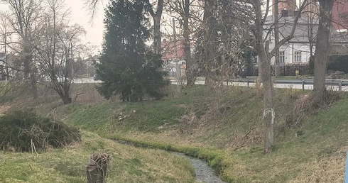 Słońce zaglądało do okien