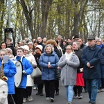 Droga Światła na ulicach Zielonej Góry