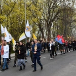 Droga Światła na ulicach Zielonej Góry