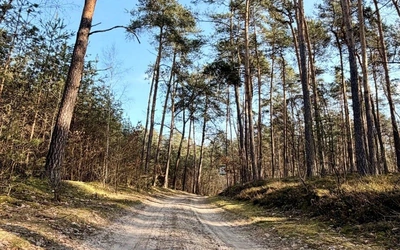 Przygoda zaczyna się tuż za rogiem