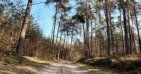 Przygoda zaczyna się tuż za rogiem