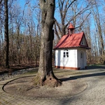 Sztafeta pokoleń