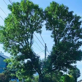 Fotografia jak terapia