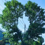 Fotografia jak terapia