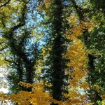 Fotografia jak terapia