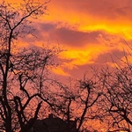 Fotografia jak terapia