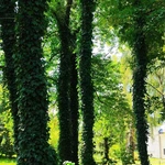 Fotografia jak terapia