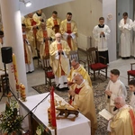 Płock. Niedziela Miłosierdzia w sanktuarium cz. I