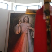 Płock. Niedziela Miłosierdzia w sanktuarium cz. II