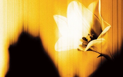 Pytania o najważniejsze 