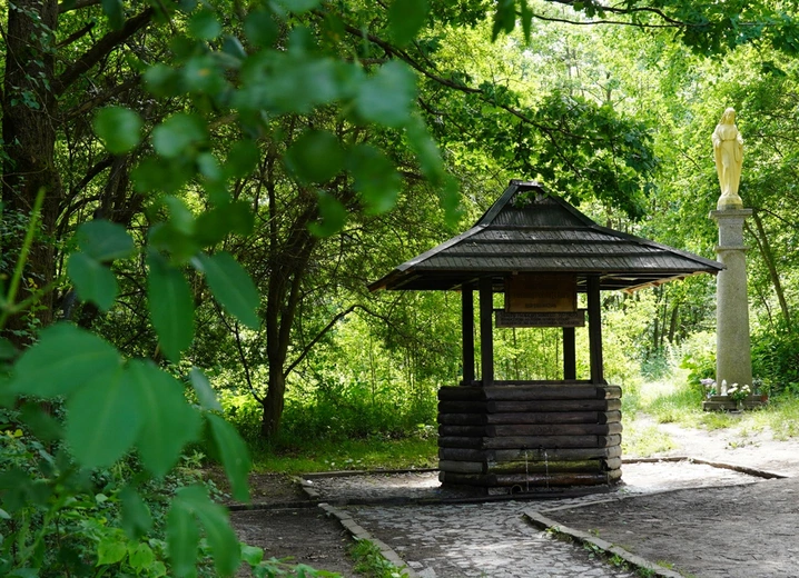 Gdzie na majówkę? Pod Ślężę! Zbliża się Piesza Pielgrzymka Wrocławska do Sulistrowiczek