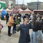 Niedziela Miłosierdzia w Katowicach