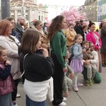 Niedziela Miłosierdzia w Katowicach