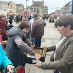 Niedziela Miłosierdzia w Katowicach