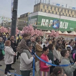 Niedziela Miłosierdzia w Katowicach