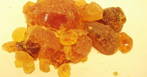 Jak guma arabska napędza konflikt w Sudanie