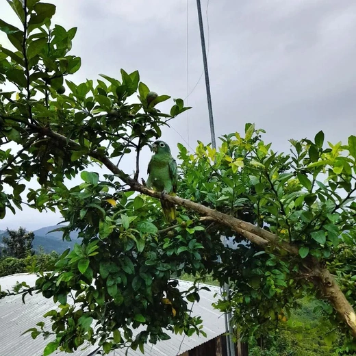 Misja Agnieszki Pydyn w Arequipie (Peru)