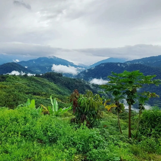 Misja Agnieszki Pydyn w Arequipie (Peru)