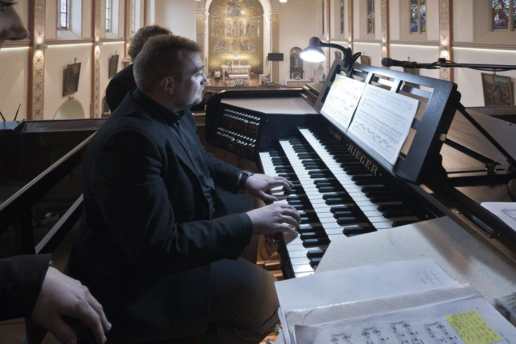 Wybudzenie organów