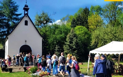 Dwanaście kilometrów do zawierzenia 