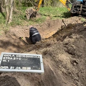 IPN: w Woli Ostrowieckiej na Wołyniu odnaleziono szczątki ofiar mordu na Polakach 