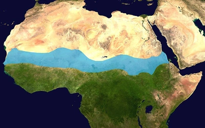 Mali i Niger oskarżają państwa sąsiednie o wspieranie dżihadystów