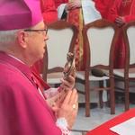 Odpust ze św. Carlem i św. Wojciechem