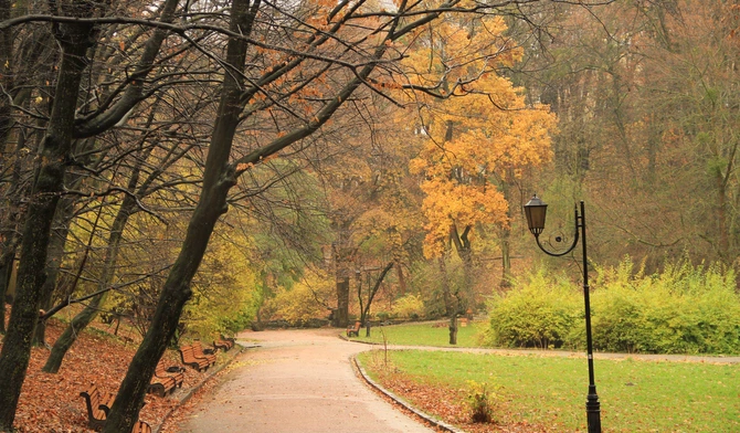 Spotkania z Ukrainą: Spacer po Parku Stryjskim