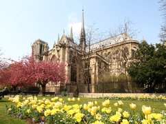 Spór o serce Notre-Dame. Macron chce nowych witraży, konserwatorzy protestują